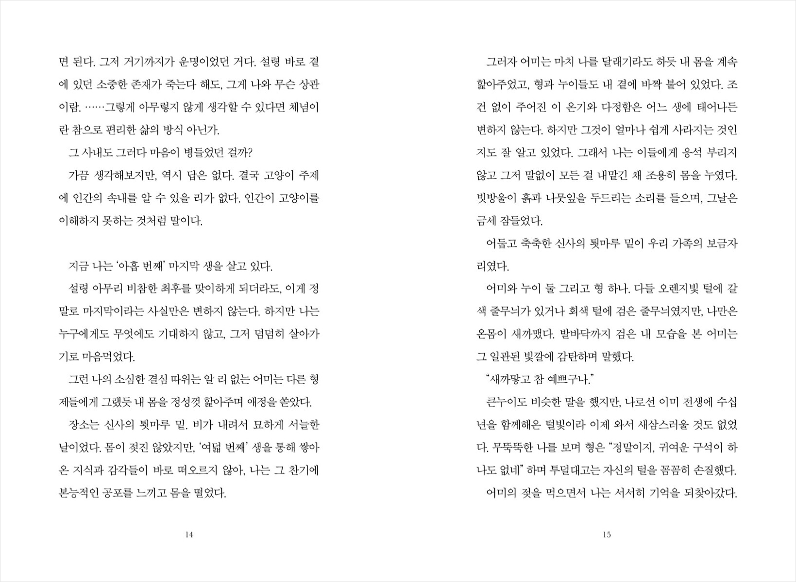 미리보기 5